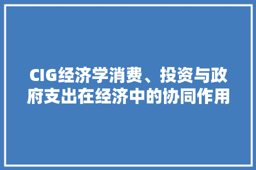 CIG经济学消费、投资与政府支出在经济中的协同作用 CIG经济学消费、投资与政府支出在经济中的协同作用