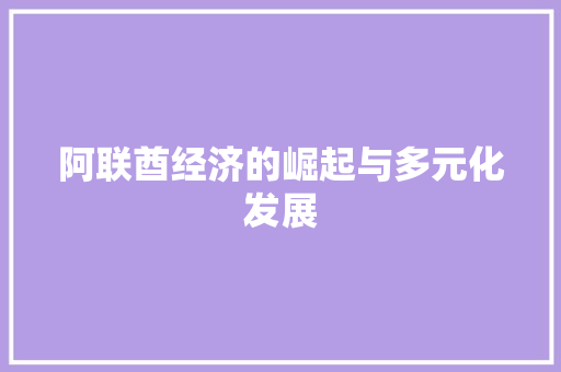 阿联酋经济的崛起与多元化发展