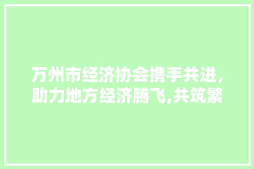 万州市经济协会携手共进，助力地方经济腾飞,共筑繁荣梦想，共创美好未来