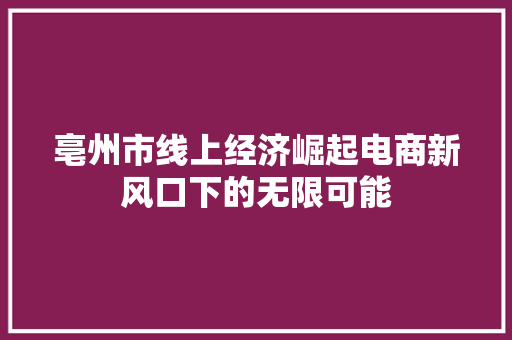 亳州市线上经济崛起电商新风口下的无限可能 亳州市线上经济崛起电商新风口下的无限可能