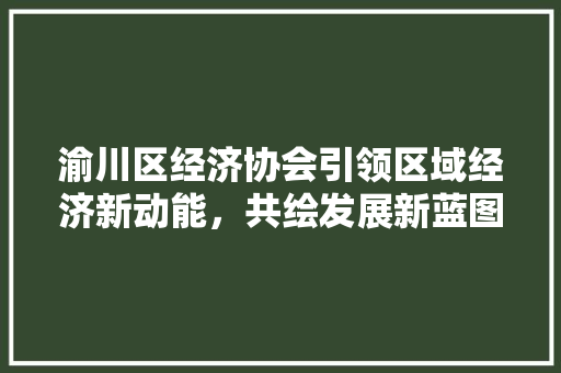 渝川区经济协会引领区域经济新动能,共绘发展新蓝图 渝川区经济协会引领区域经济新动能,共绘发展新蓝图