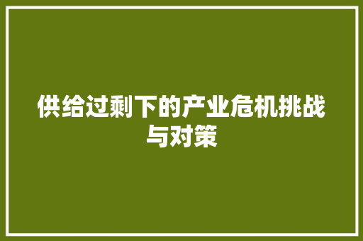 供给过剩下的产业危机挑战与对策 供给过剩下的产业危机挑战与对策