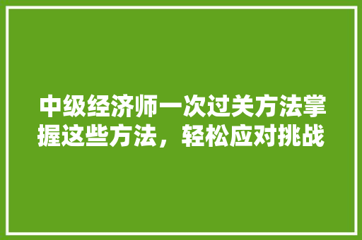中级经济师一次过关方法掌握这些方法,轻松应对挑战! 中级经济师一次过关方法掌握这些方法,轻松应对挑战!