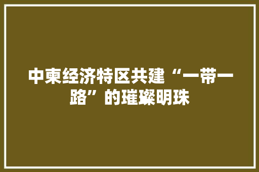 中柬经济特区共建“一带一路”的璀璨明珠 中柬经济特区共建“一带一路”的璀璨明珠