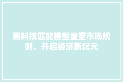 黑科技匹配模型重塑市场规则,开启经济新纪元 黑科技匹配模型重塑市场规则,开启经济新纪元