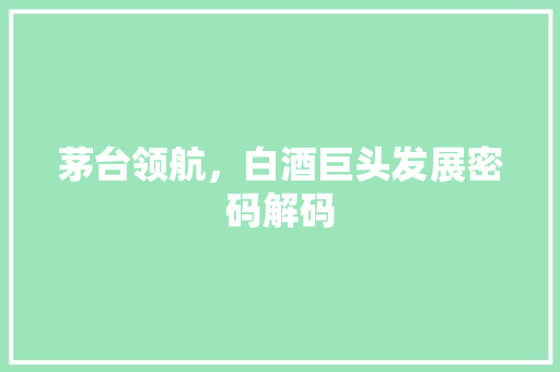 茅台领航,白酒巨头发展密码解码 茅台领航,白酒巨头发展密码解码