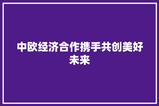 中欧经济合作携手共创美好未来 中欧经济合作携手共创美好未来