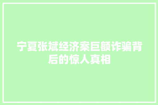宁夏张斌经济案巨额诈骗背后的惊人真相 宁夏张斌经济案巨额诈骗背后的惊人真相