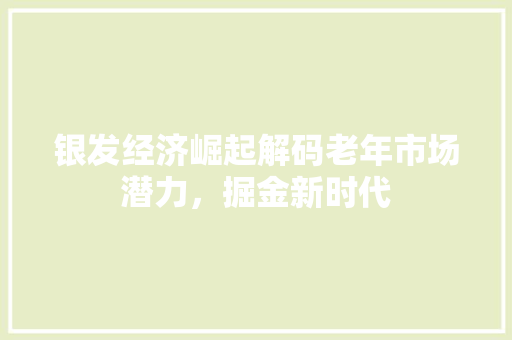 银发经济崛起解码老年市场潜力,掘金新时代 银发经济崛起解码老年市场潜力,掘金新时代