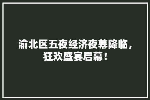 渝北区五夜经济夜幕降临，狂欢盛宴启幕！