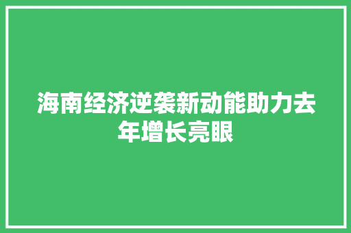 海南经济逆袭新动能助力去年增长亮眼 海南经济逆袭新动能助力去年增长亮眼