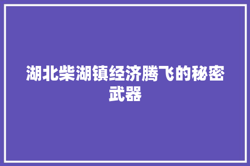 湖北柴湖镇经济腾飞的秘密武器 湖北柴湖镇经济腾飞的秘密武器