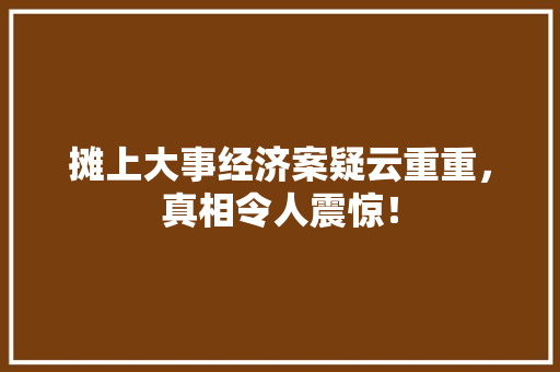 摊上大事经济案疑云重重,真相令人震惊! 摊上大事经济案疑云重重,真相令人震惊!