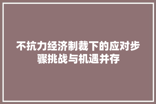不抗力经济制裁下的应对步骤挑战与机遇并存 不抗力经济制裁下的应对步骤挑战与机遇并存