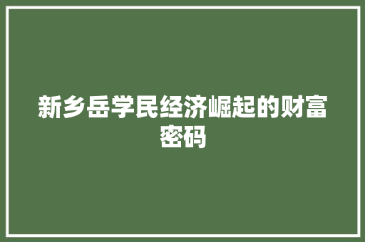 新乡岳学民经济崛起的财富密码 新乡岳学民经济崛起的财富密码