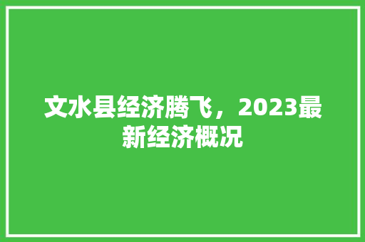 文水县经济腾飞，2023最新经济概况