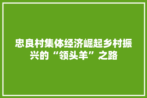 忠良村集体经济崛起乡村振兴的“领头羊”之路 忠良村集体经济崛起乡村振兴的“领头羊”之路