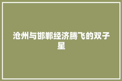 沧州与邯郸经济腾飞的双子星 沧州与邯郸经济腾飞的双子星