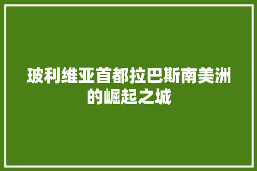 玻利维亚首都拉巴斯南美洲的崛起之城