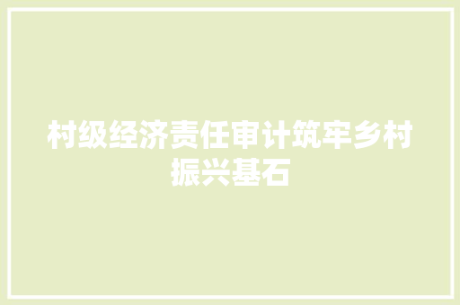 村级经济责任审计筑牢乡村振兴基石 村级经济责任审计筑牢乡村振兴基石
