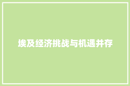 埃及经济挑战与机遇并存 埃及经济挑战与机遇并存