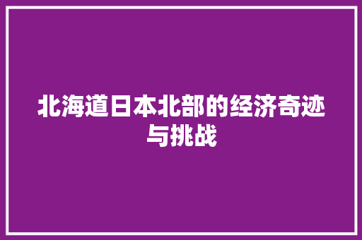 北海道日本北部的经济奇迹与挑战 北海道日本北部的经济奇迹与挑战