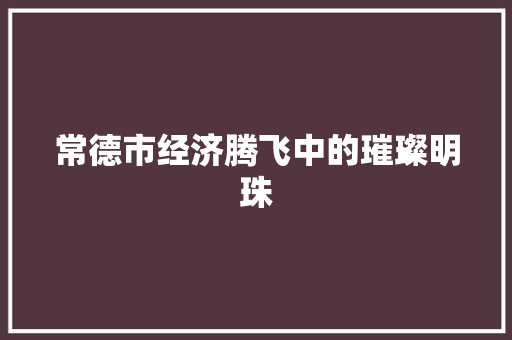 常德市经济腾飞中的璀璨明珠 常德市经济腾飞中的璀璨明珠