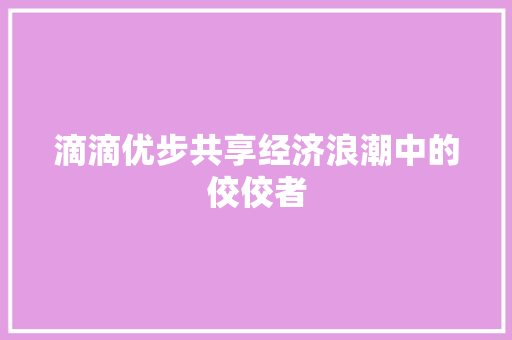 滴滴优步共享经济浪潮中的佼佼者 滴滴优步共享经济浪潮中的佼佼者