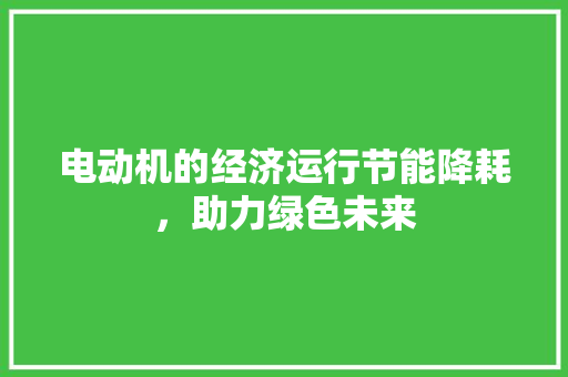 电动机的经济运行节能降耗,助力绿色未来 电动机的经济运行节能降耗,助力绿色未来