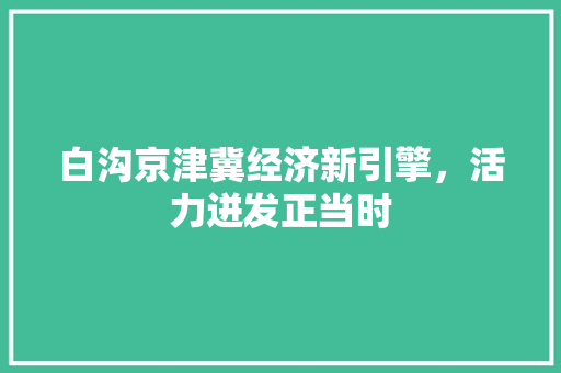 白沟京津冀经济新引擎,活力迸发正当时 白沟京津冀经济新引擎,活力迸发正当时