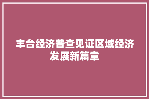 丰台经济普查见证区域经济发展新篇章 丰台经济普查见证区域经济发展新篇章