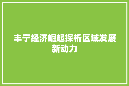 丰宁经济崛起探析区域发展新动力 丰宁经济崛起探析区域发展新动力