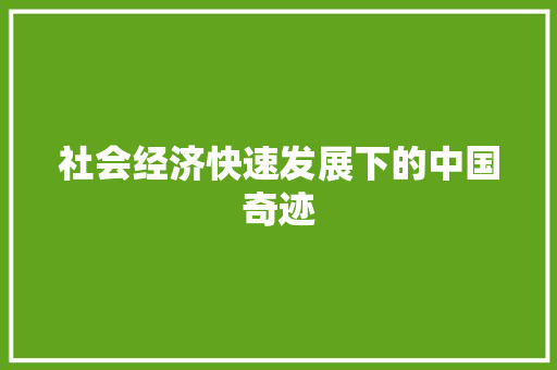 社会经济快速发展下的中国奇迹 社会经济快速发展下的中国奇迹