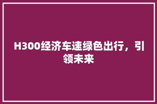 H300经济车速绿色出行,引领未来 H300经济车速绿色出行,引领未来