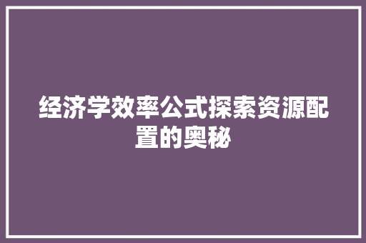 经济学效率公式探索资源配置的奥秘