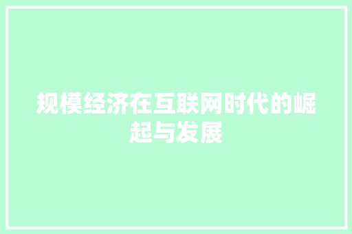 规模经济在互联网时代的崛起与发展 规模经济在互联网时代的崛起与发展