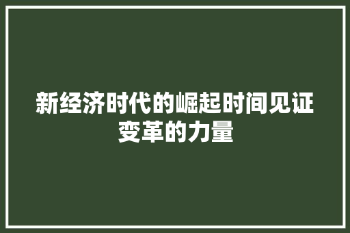 新经济时代的崛起时间见证变革的力量 新经济时代的崛起时间见证变革的力量