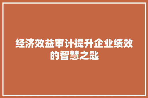 经济效益审计提升企业绩效的智慧之匙 经济效益审计提升企业绩效的智慧之匙