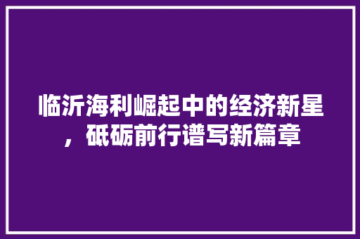 临沂海利崛起中的经济新星,砥砺前行谱写新篇章 临沂海利崛起中的经济新星,砥砺前行谱写新篇章