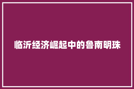 临沂经济崛起中的鲁南明珠 临沂经济崛起中的鲁南明珠