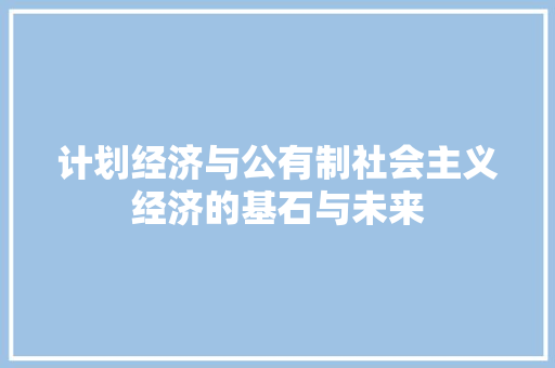 计划经济与公有制社会主义经济的基石与未来