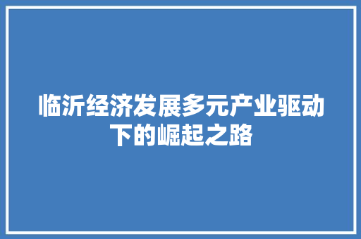 临沂经济发展多元产业驱动下的崛起之路 临沂经济发展多元产业驱动下的崛起之路