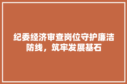 纪委经济审查岗位守护廉洁防线,筑牢发展基石 纪委经济审查岗位守护廉洁防线,筑牢发展基石