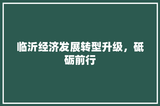 临沂经济发展转型升级,砥砺前行 临沂经济发展转型升级,砥砺前行