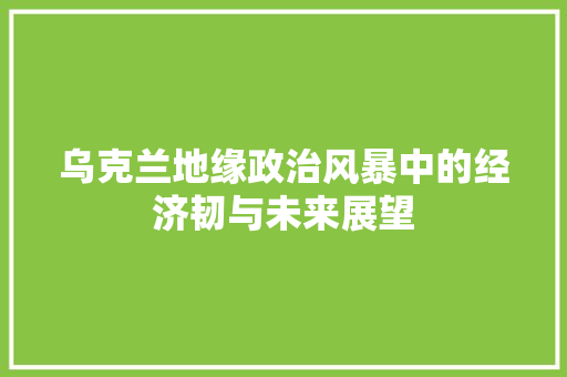 乌克兰地缘政治风暴中的经济韧与未来展望 乌克兰地缘政治风暴中的经济韧与未来展望