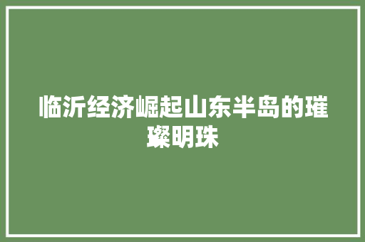 临沂经济崛起山东半岛的璀璨明珠 临沂经济崛起山东半岛的璀璨明珠