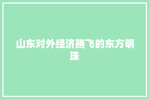 山东对外经济腾飞的东方明珠 山东对外经济腾飞的东方明珠