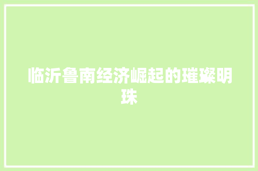 临沂鲁南经济崛起的璀璨明珠 临沂鲁南经济崛起的璀璨明珠