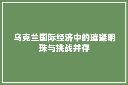 乌克兰国际经济中的璀璨明珠与挑战并存 乌克兰国际经济中的璀璨明珠与挑战并存