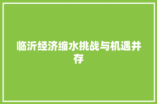 临沂经济缩水挑战与机遇并存 临沂经济缩水挑战与机遇并存